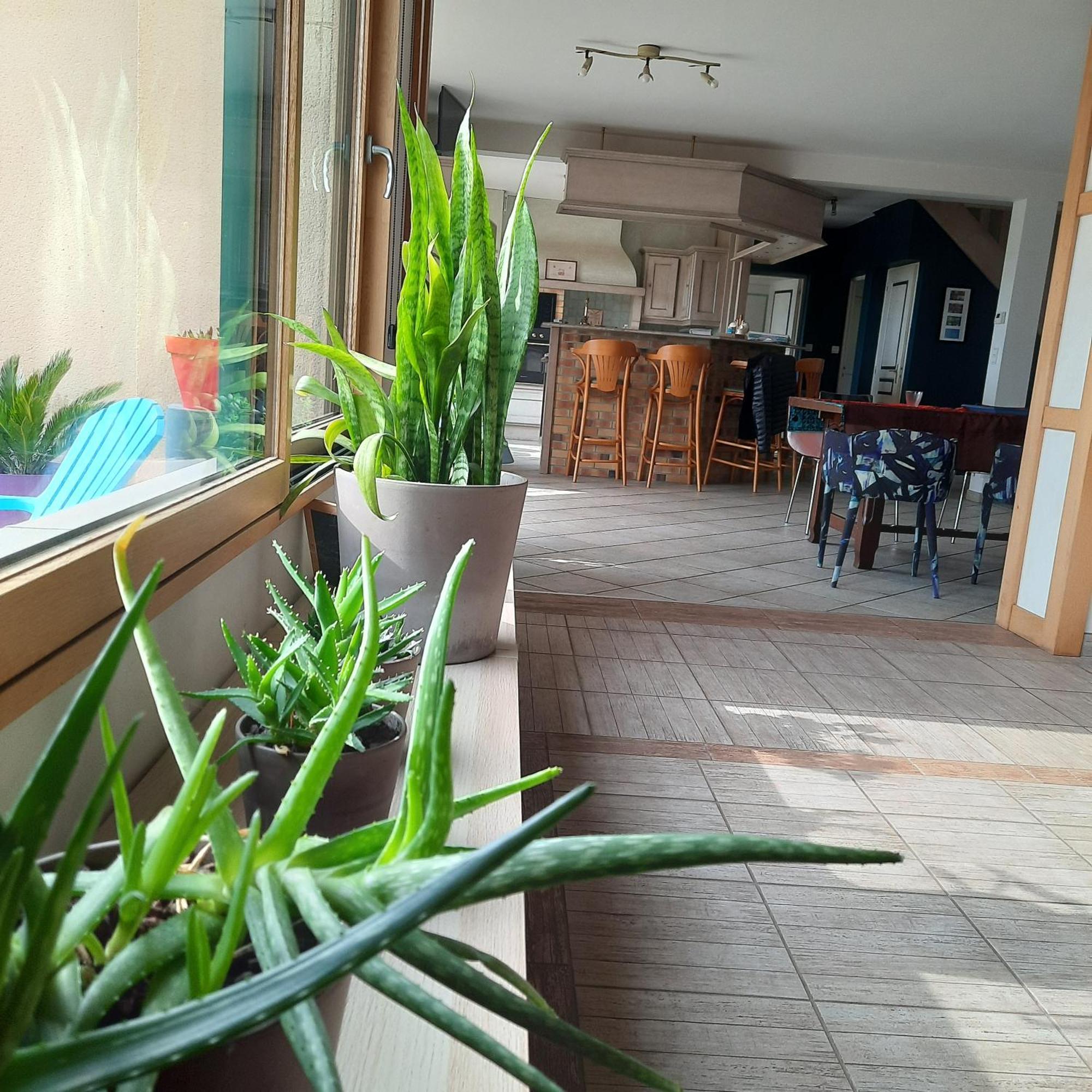 Magnifique Villa Avec Piscine Interieure Saint-Pois Εξωτερικό φωτογραφία